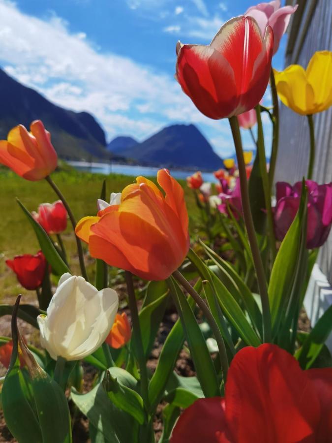 Banpim Beachside Lofoten ランバ エクステリア 写真