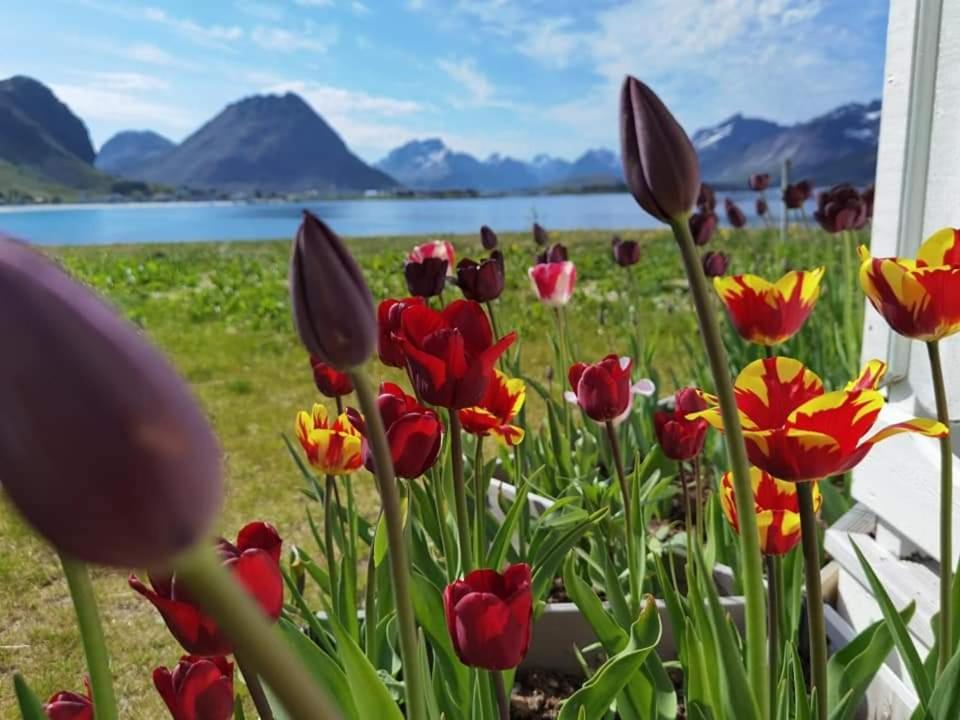 Banpim Beachside Lofoten ランバ エクステリア 写真